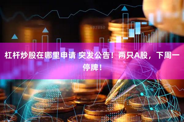 杠杆炒股在哪里申请 突发公告！两只A股，下周一停牌！